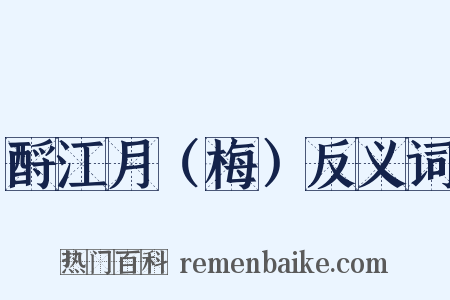 酹江月（梅）反义词是什么意思的图片